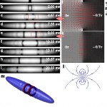 Oscillating soliton/vortex ring