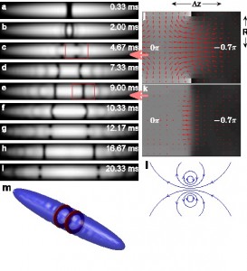 Oscillating soliton/vortex ring