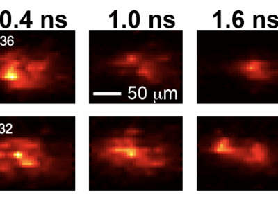 time-resolved spatial profiles of a high-power laser propagating in a plasma