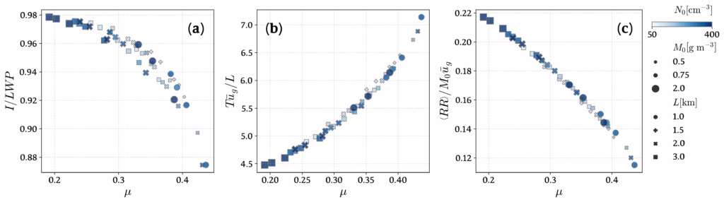 Cloud observables collapse when presented as a function of a dimensionless parameter quantifying accretion vs rainfall