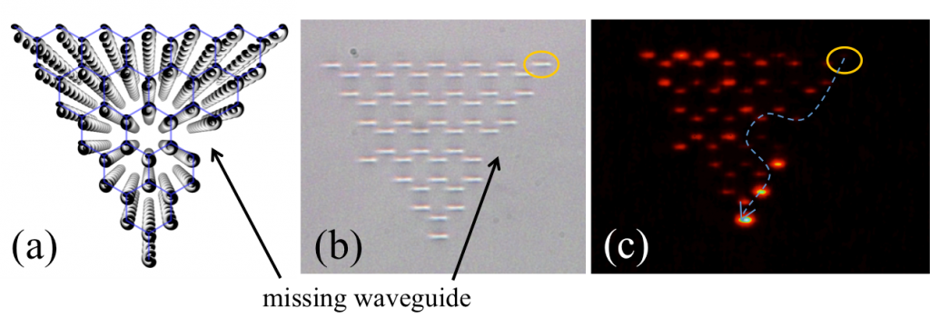 The figure shows the observation of photonic topological protection in an array of waveguides arranged in a honeycomb lattice with an equilateral triangle shape. (a) Schematic diagram of the helical waveguides; the neighbor distance is 15 microns and the helix radius is 8 microns. A waveguide is ‘removed’ from the edge, and acts as a defect in the structure. (b) Microscope image of the input facet of the array, with missing waveguide; yellow circle indicates the waveguide in which light is injected. (c) Injected light moves clockwise around the array; avoids the defect and all backscattering is suppressed due to topological protection.