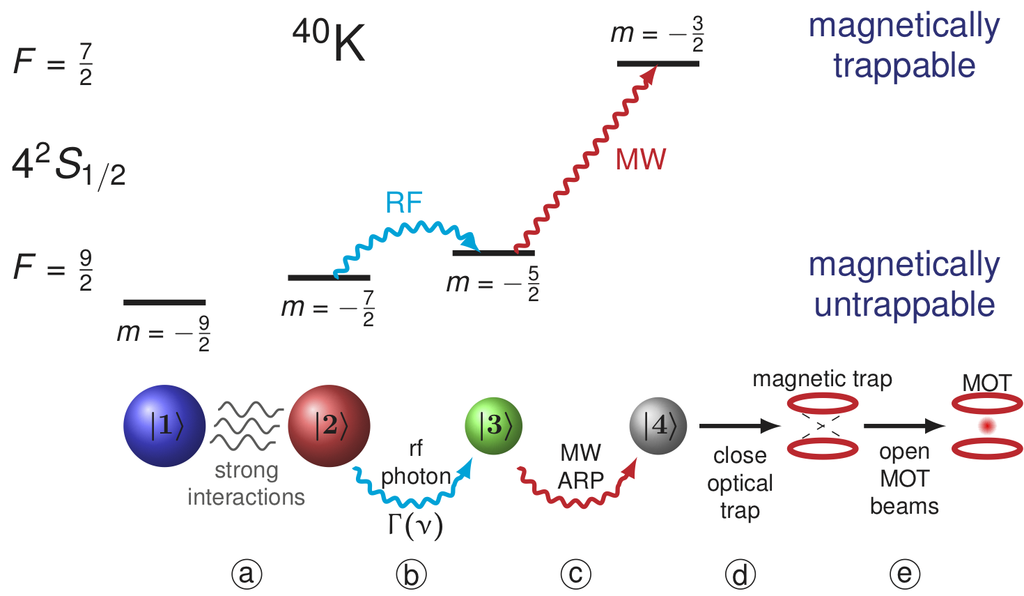 High Sensitivity RF Spectroscopy of a StronglyInteracting Fermi Gas