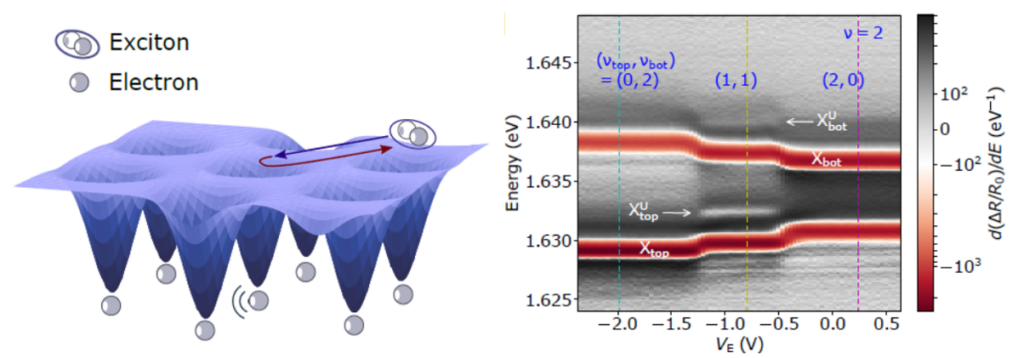 Figure 2. (Left) Illustration of the potential for excitons created by electrons trapped in a moiré lattice. (Right) Optical reflectance measurement showing the emergence of a new resonance when electrons are periodically ordered.