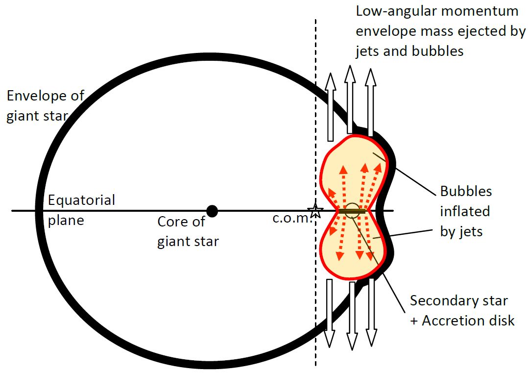 Schematic drawing of the grazing envelope evolution with jets launched by the secondary star. 